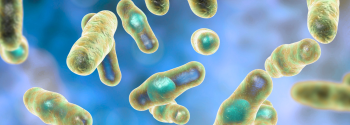 Further Understanding the Role of 7a-dehydroxylation in Resistance Against Clostridioides difficile