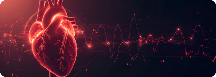 Das Verständnis der myokardialen Ischämie-Reperfusionsschädigung durch Hypoxieforschung