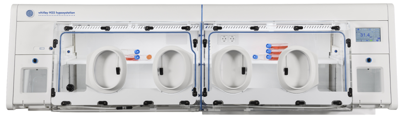 Whitley H55 Hypoxystation