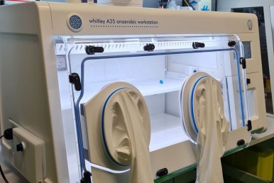 Whitley A 35 anaerobe Arbeitsstation erfolgreich installiert