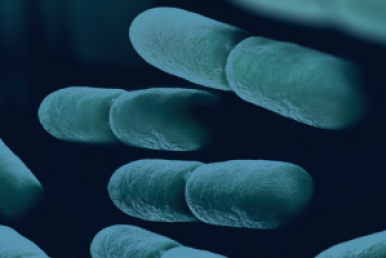 DWS Travel Grant allows students to present microbiome work at conference