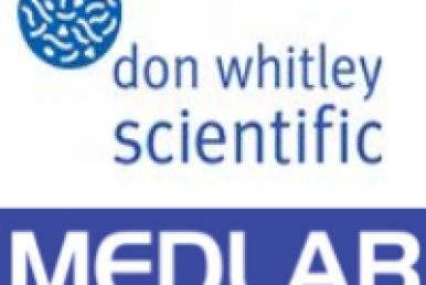 MEDLAB 2017