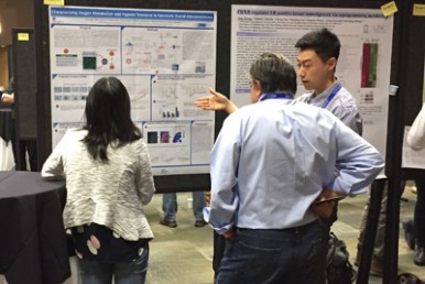 Hypoxia and Tumour Metabolism in Whistler with HypOxygen