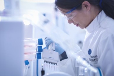 Hypoxia in the Tumour Microenvironment