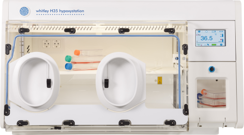 Whitley Hypoxische Arbeitsstationen