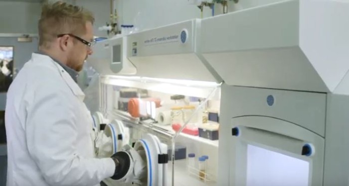 SBRC Uses 12 Whitley Workstations in Anaerobic Clostridia Research