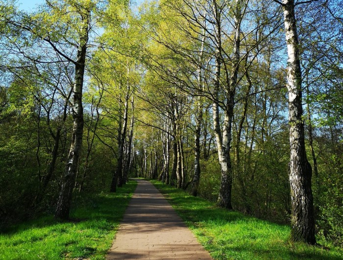 DWS Takes Action to Offset Carbon Footprint
