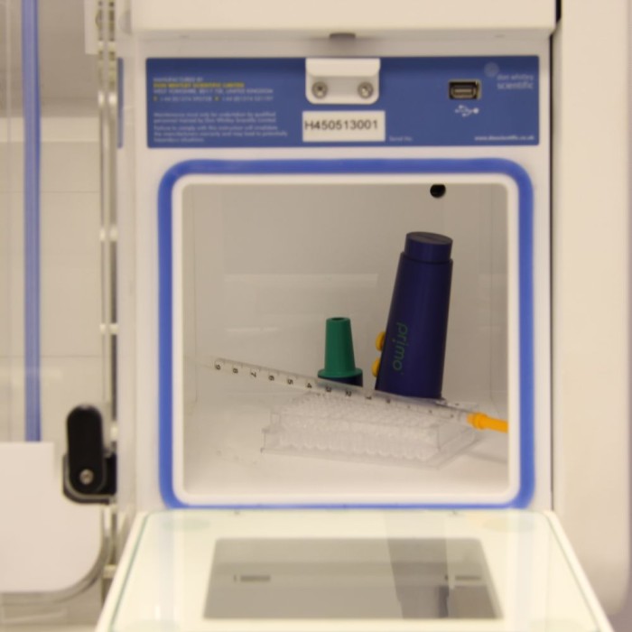Did you know: Pipettes fit into a 12 litre airlock