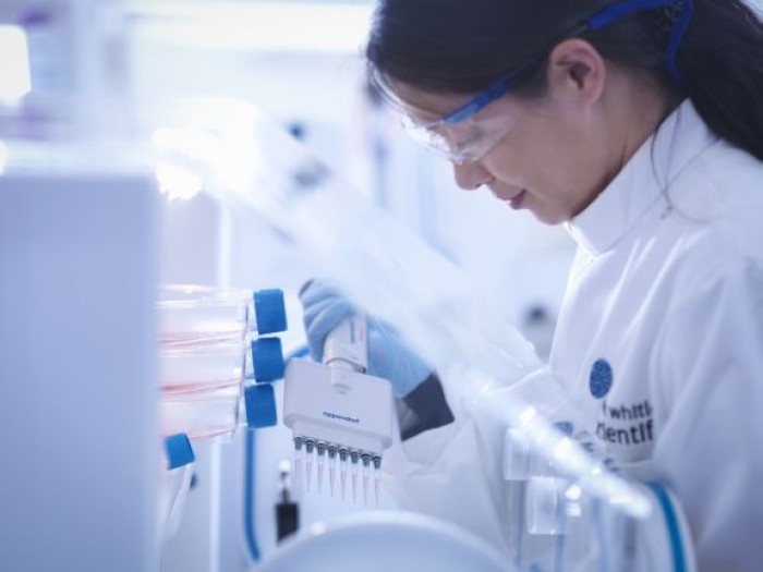 Hypoxia in the Tumour Microenvironment