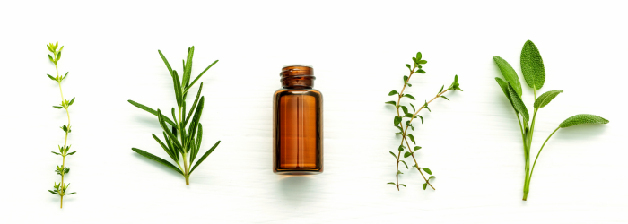 Pseudomonas aeruginosa infections: Could essential oils be the new treatment?