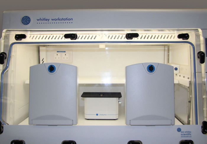 Time Lapse Microscopy in a Whitley Workstation