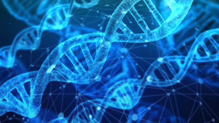 PCR: Das Fortschreiten der DNA-Analyse