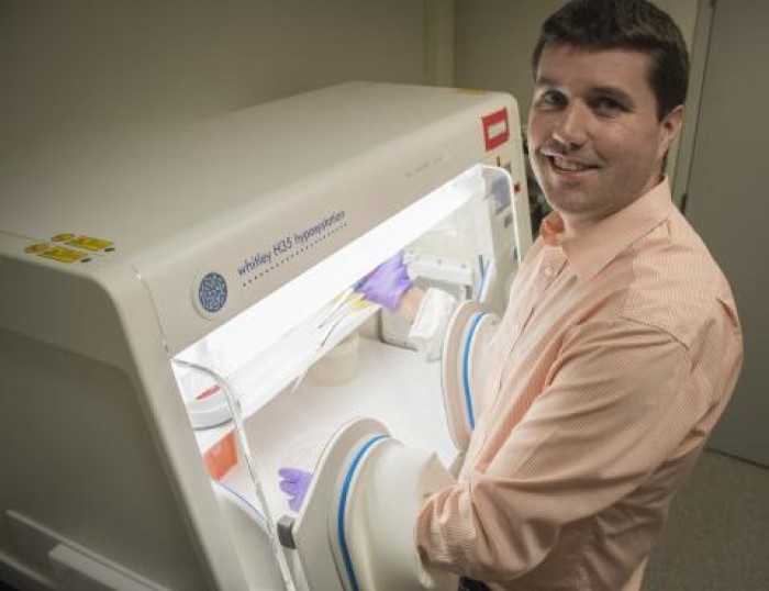 Physiological Oxygen is Healthier for Cell Cultures