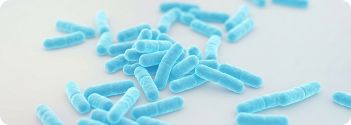 Cronobacter sakazakii: Infektionen bei Neugeborenen, Resistenzrisiko und Phagentherapie
