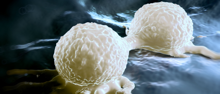 World Cancer Day 23