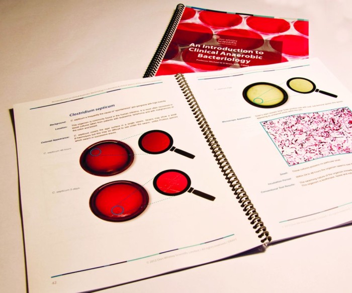 Practical Guide to Clinical Anaerobic Bacteriology Launched
