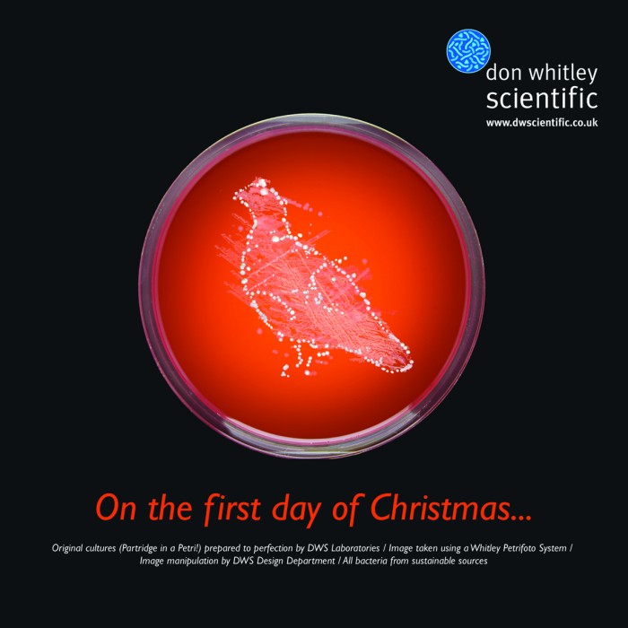Merry Christmas from Don Whitley Scientific
