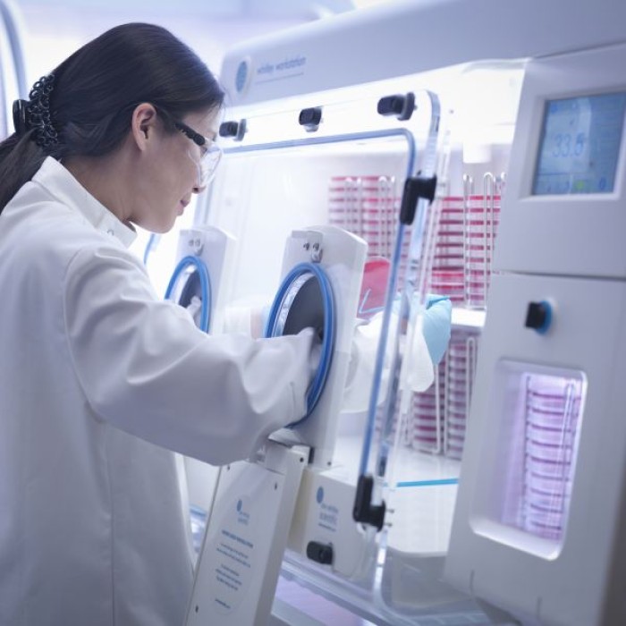 Whitley Workstation used in Clostridium difficile study