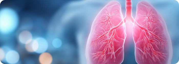 Fortschritte in der Forschung zur pulmonalen Hypertonie durch kontrollierte hypoxische Umgebungen