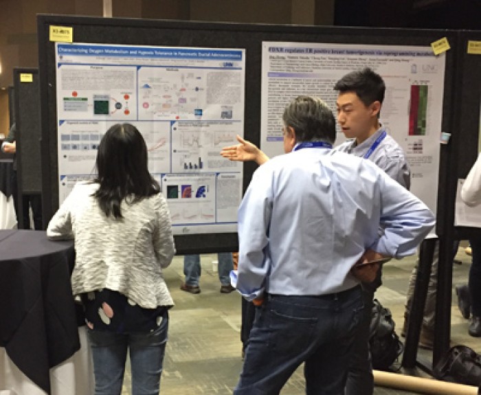 Hypoxia and Tumour Metabolism in Whistler with HypOxygen