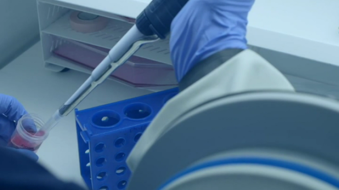 Considering the physiological oxygen levels when culturing intestinal cells in vitro