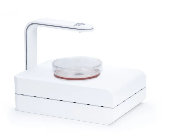 Das CytoSMART Lux ein kompaktes inverses Mikroskop für Hellfeld-Live-Cell-Imaging