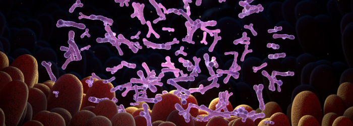 The Missing Microbes: Why Probiotics Need Global Diversity
