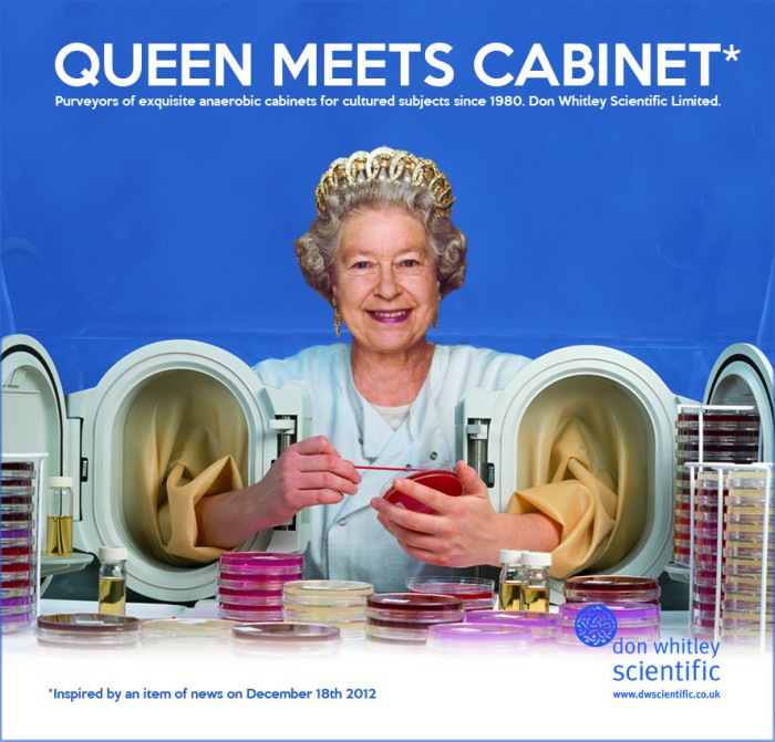 Queen meets Cabinet