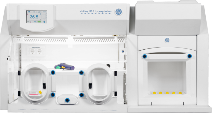 Whitley H85 Hypoxystation