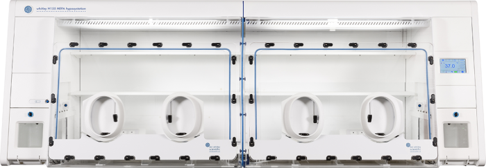 Whitley H155 HEPA Hypoxystation