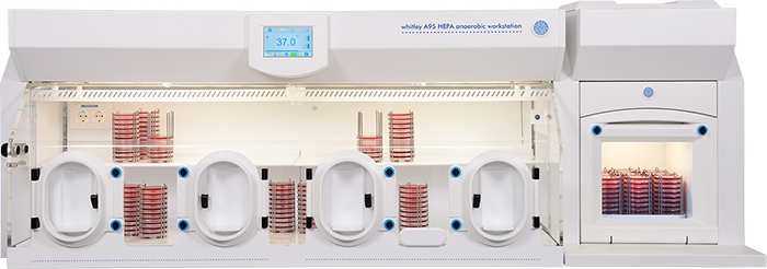 Whitley A95 HEPA Workstation