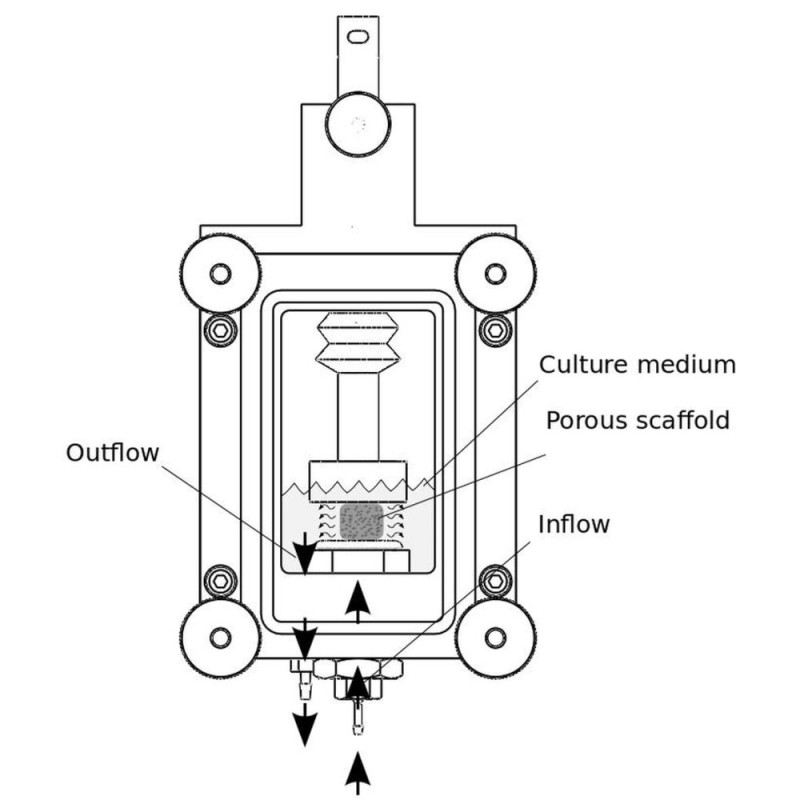 Kompressions-Perfusions-Griff
