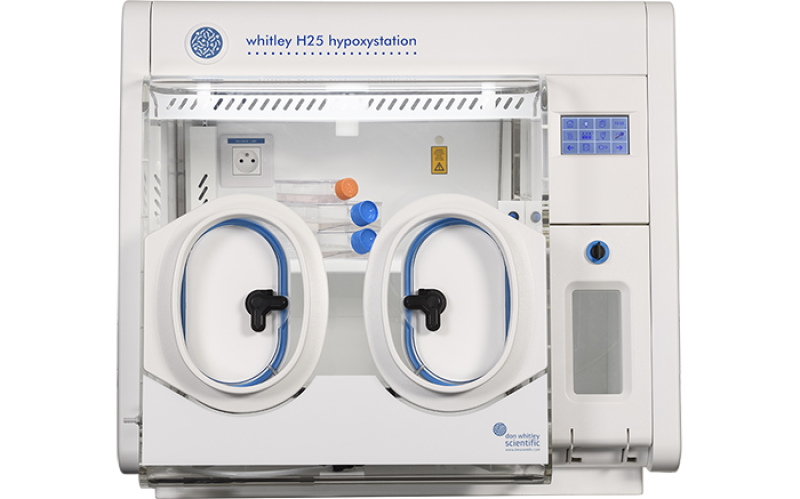 Whitley H25 Hypoxystation