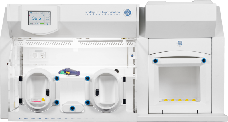 Whitley H85 Hypoxystation