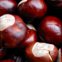 Chestnuts Roasting, Fungi Boasting: Natamycin's Festive Battle
