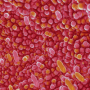Gut bacteria