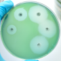 Antimicrobial Susceptibility Testing