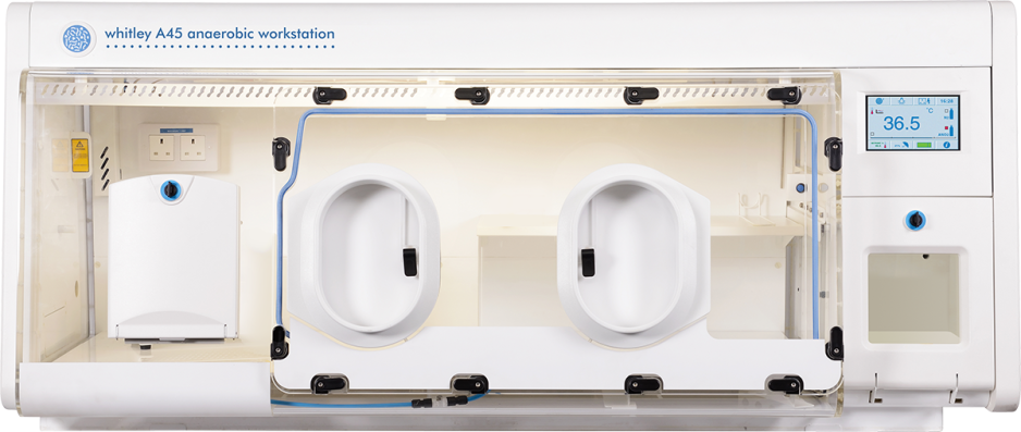 Whitley A45 Arbeitsstation