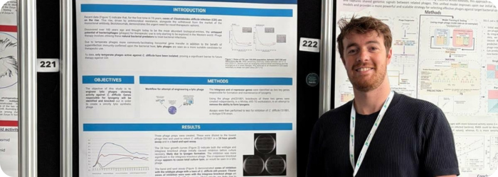 Bekämpfung von Clostridioides difficile Infektionen durch Phagentherapie