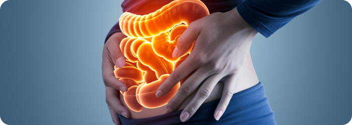 Welt-IBD-Tag: Die Rolle der Darmmikrobiota bei Dysbiose verstehen