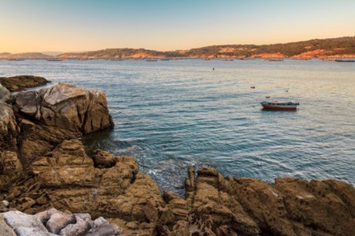 Rising sea temperatures and new discoveries