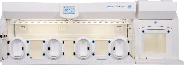 Whitley H95 Hypoxystation Bild
