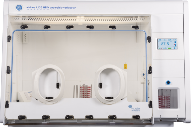 Whitley A135 HEPA Arbeitsstation