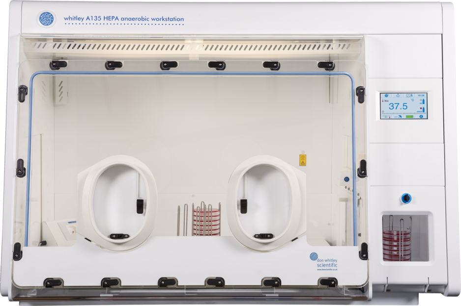 Whitley A135 HEPA Arbeitsstation
